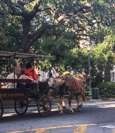 Savannah Horse Drawn Carriage