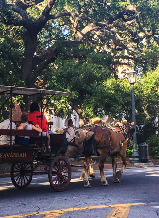 Savannah Horse Drawn Carriage