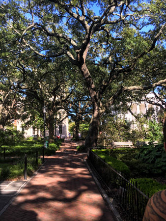 Savannah Squares