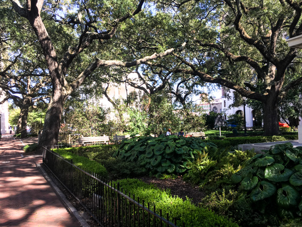 Savannah Squares