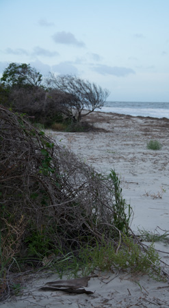 Sullivan's Island Beach