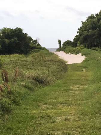 Sullivan's Island Path