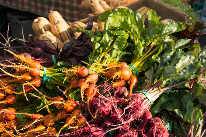 Fall Farmer's Market