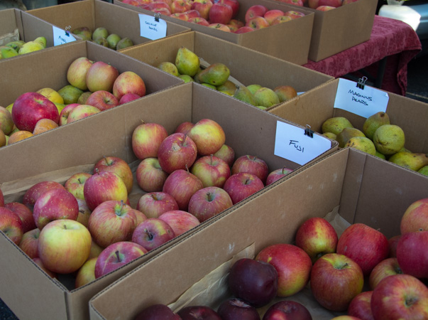 Fall Apples