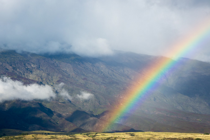 Maui Rainbow