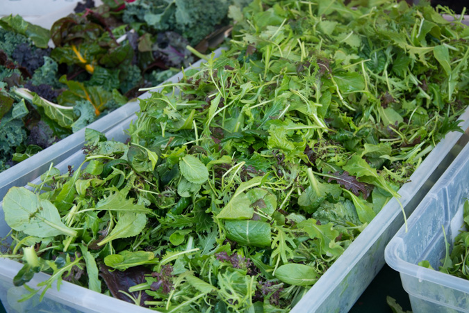 Fall Mesclun