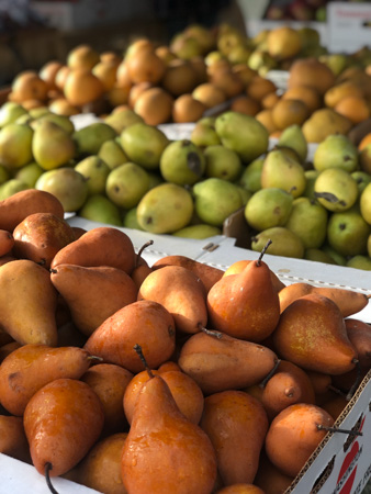 Fall Pears 