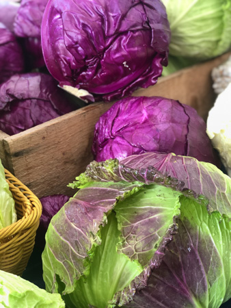 Purple Cabbage