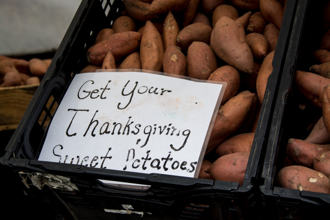 Thanksgiving Sweet Potatoes